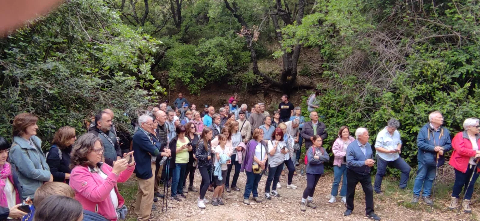 Romería a San Cosme y San Damián en Panzano. Foto Fernando Paúles