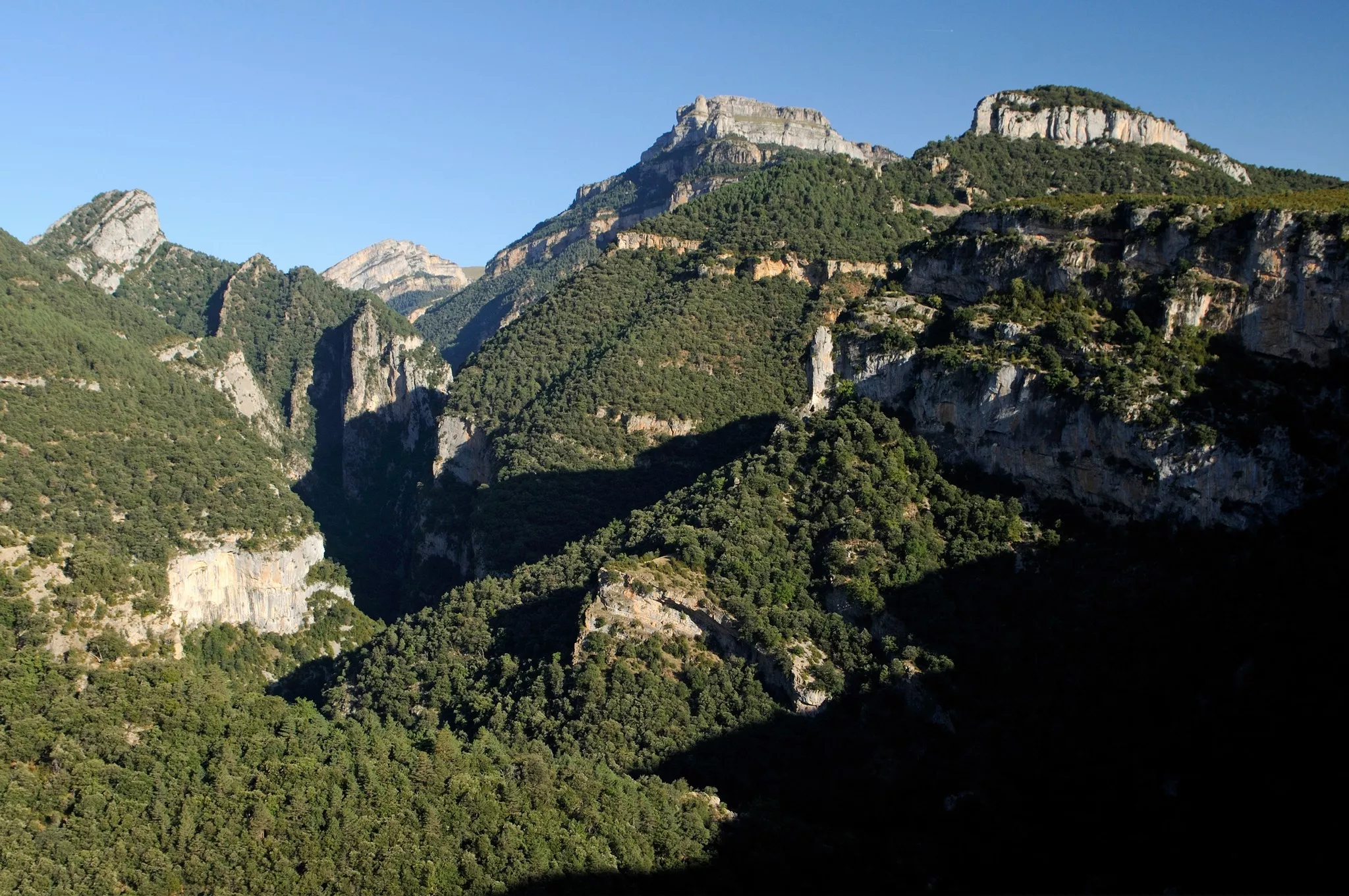 Cañon de Añisclo. Foto Parque Nacional de Ordesa y Monte Perdido.