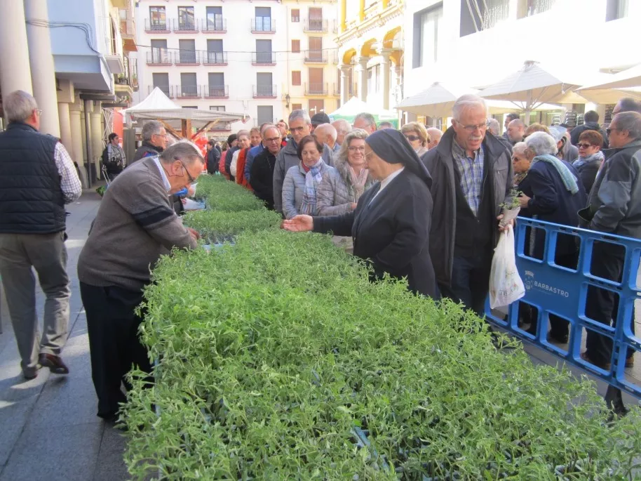 Imagen de la pasada edición de la Fiesta del Plantero de Barbastro.