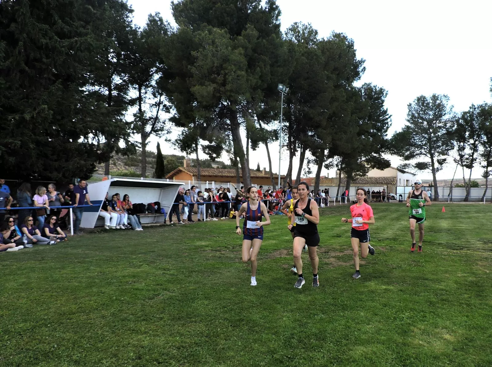 Grupo de cabeza femenino