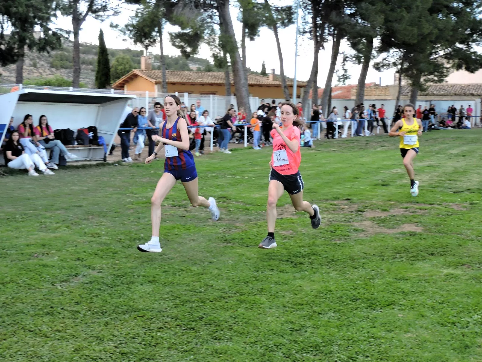 Diputa de prima en el grupo de cabeza femenino
