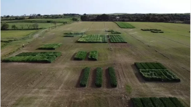 Las sesiones a campo abierto protagonizan la Jornada Cultiva Las sesiones a campo abierto protagonizan la Jornada Cultiva