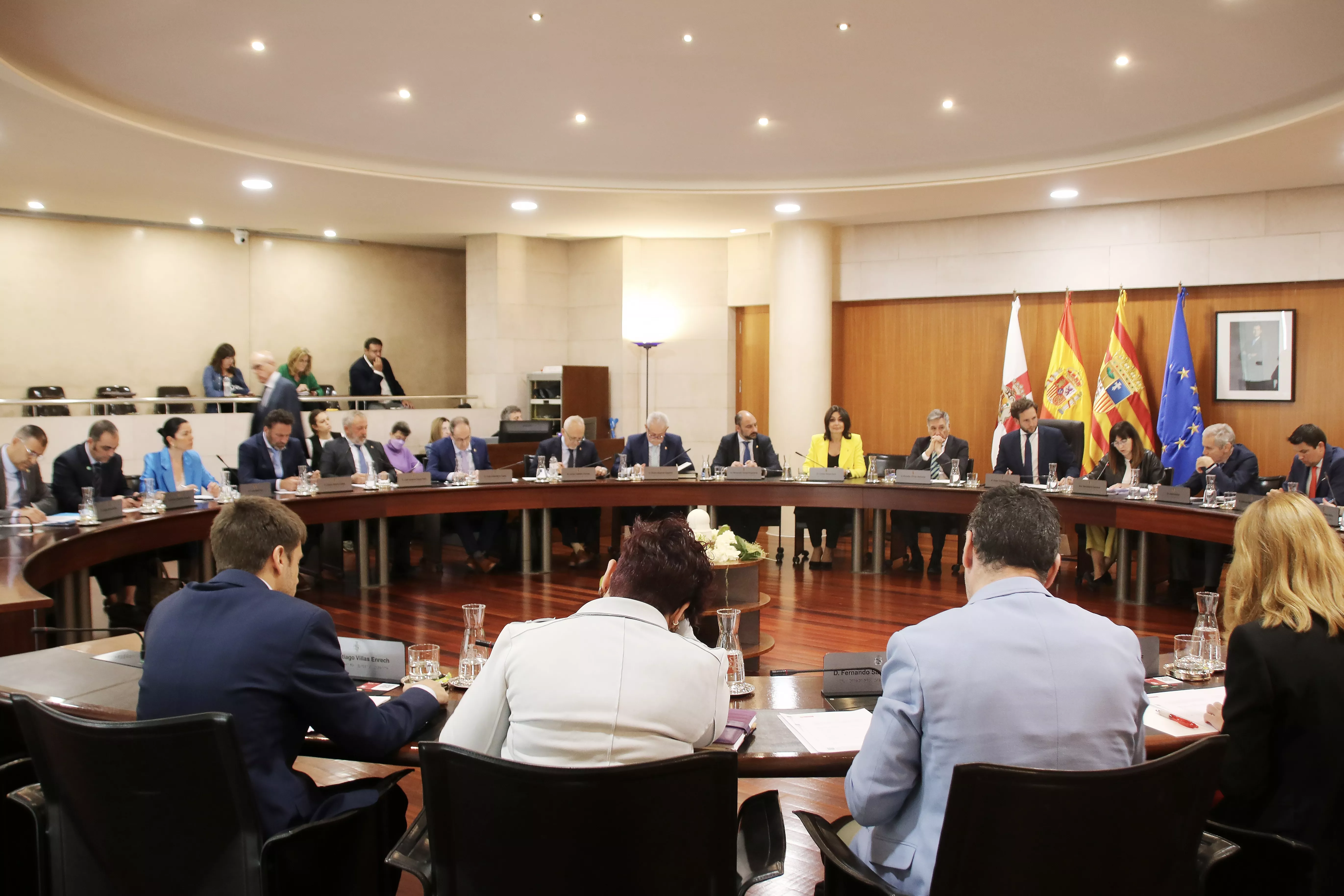 Imagen del pleno celebrado por la DPH este viernes.
