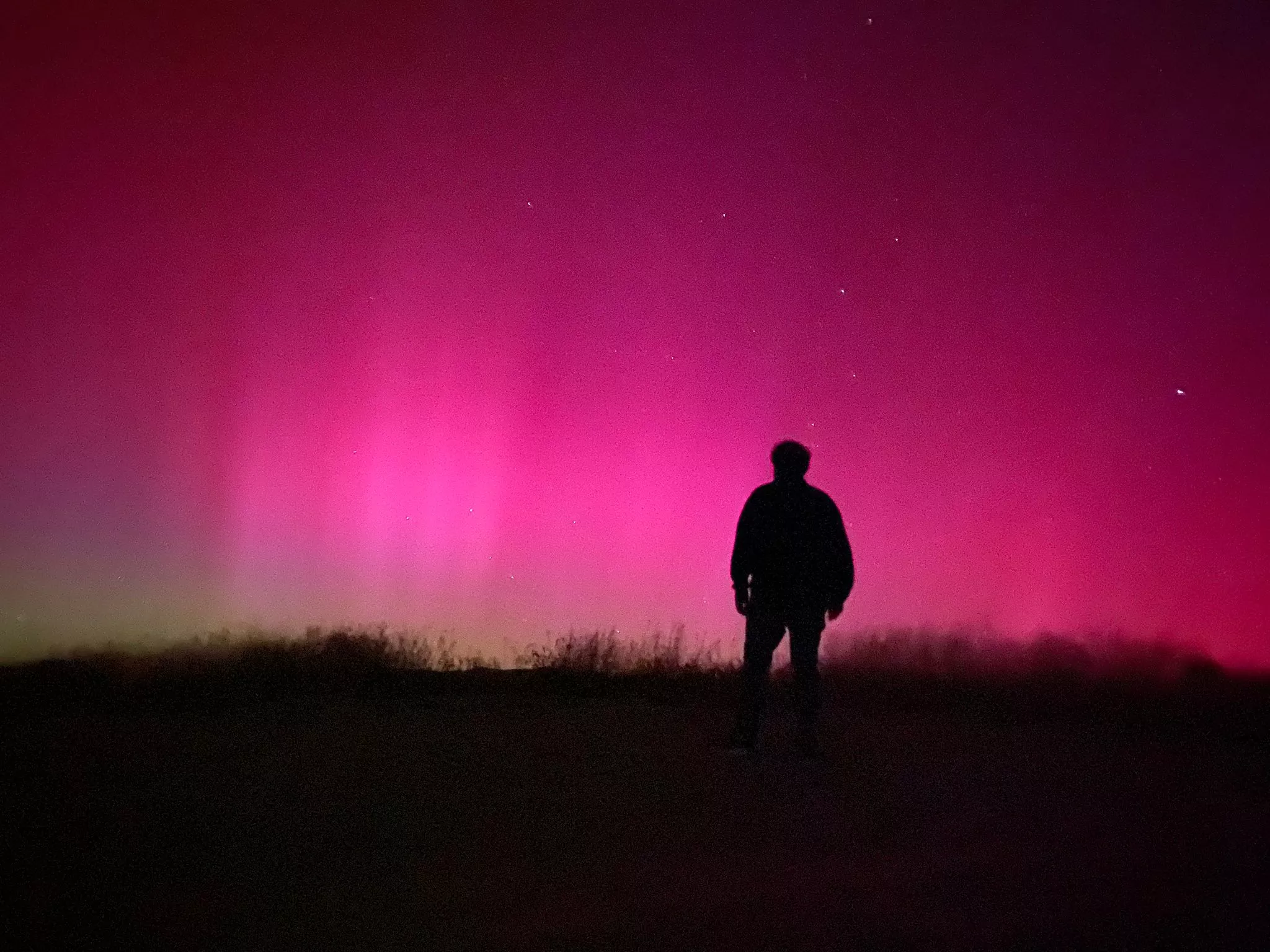 Pepe con la aurora boreal al fondo