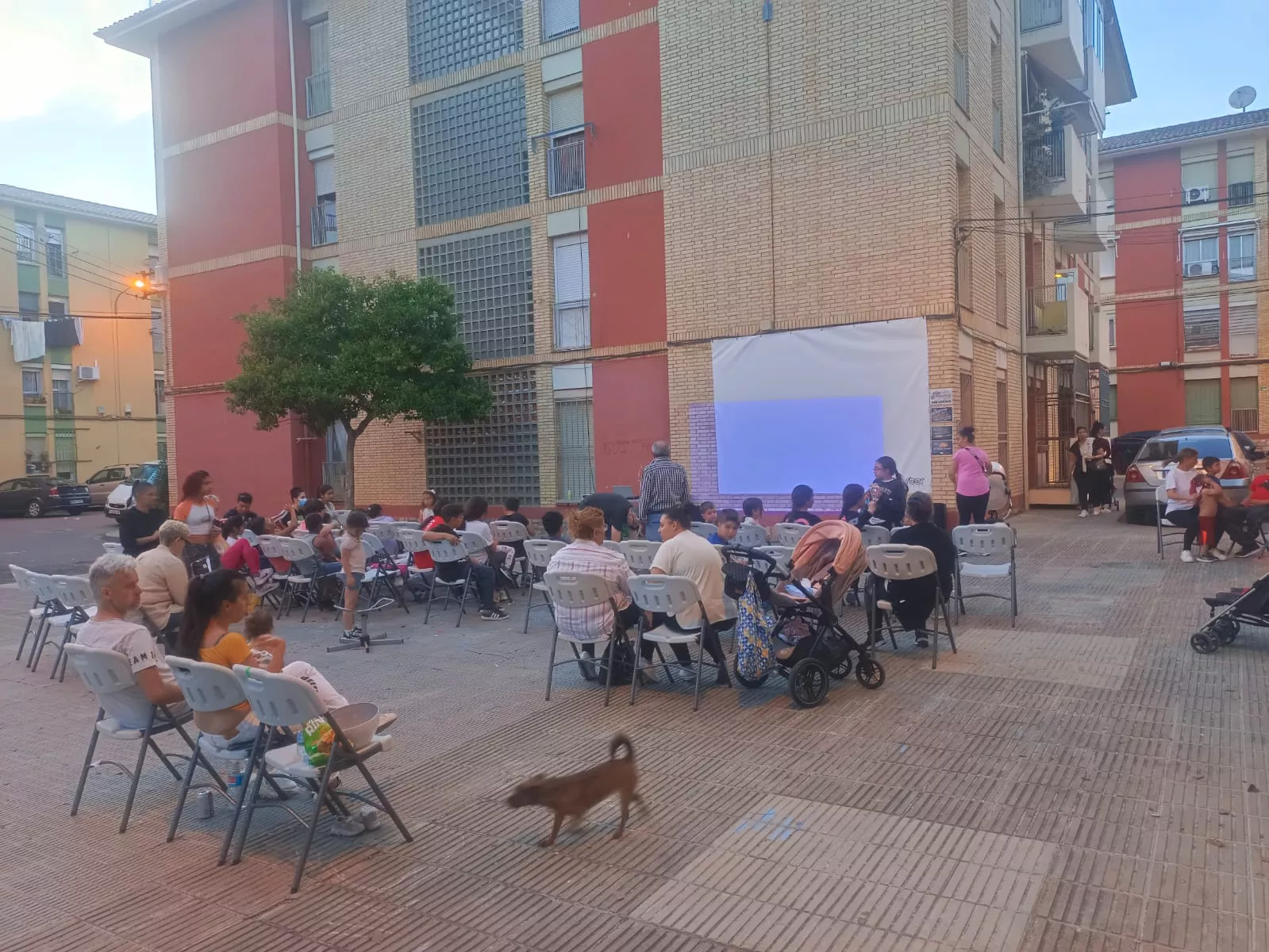 Cine al aire libre. 