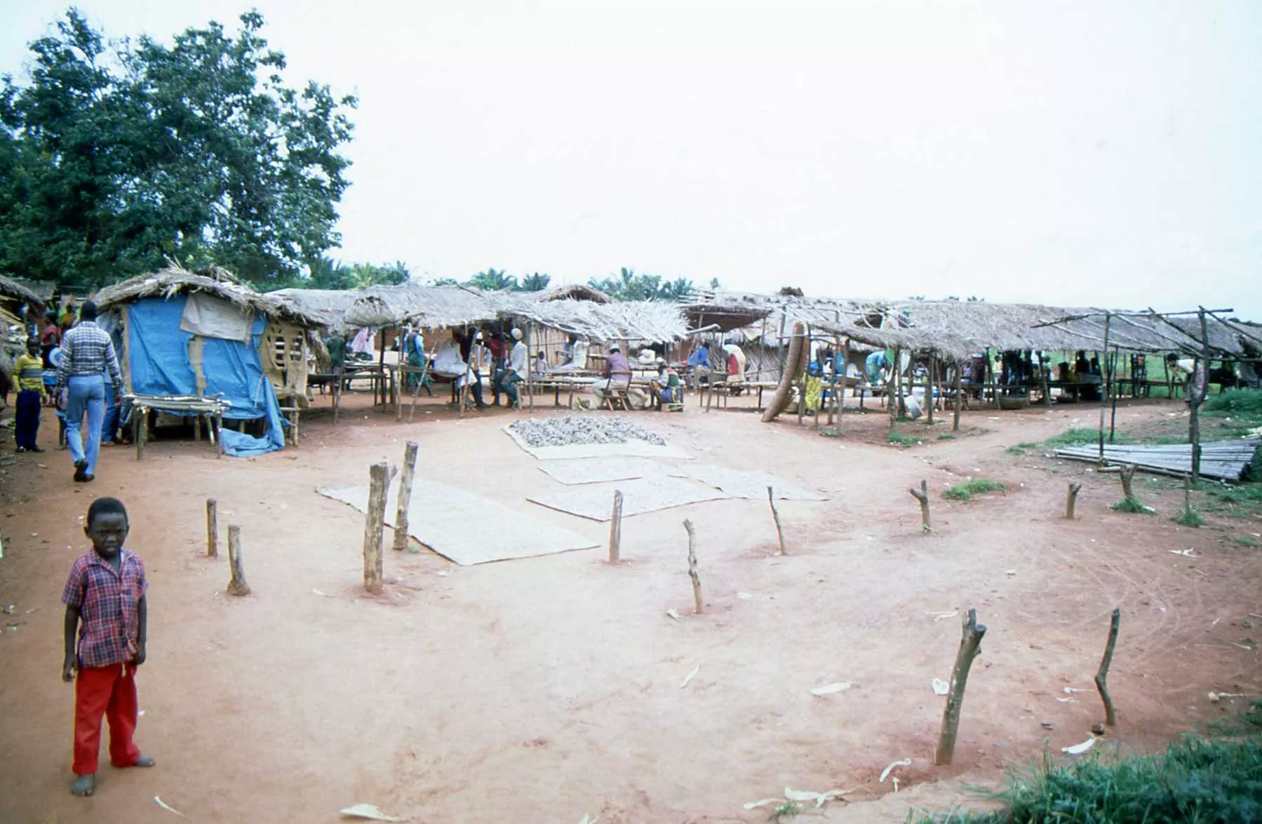 Marco Pascual en Lusaka