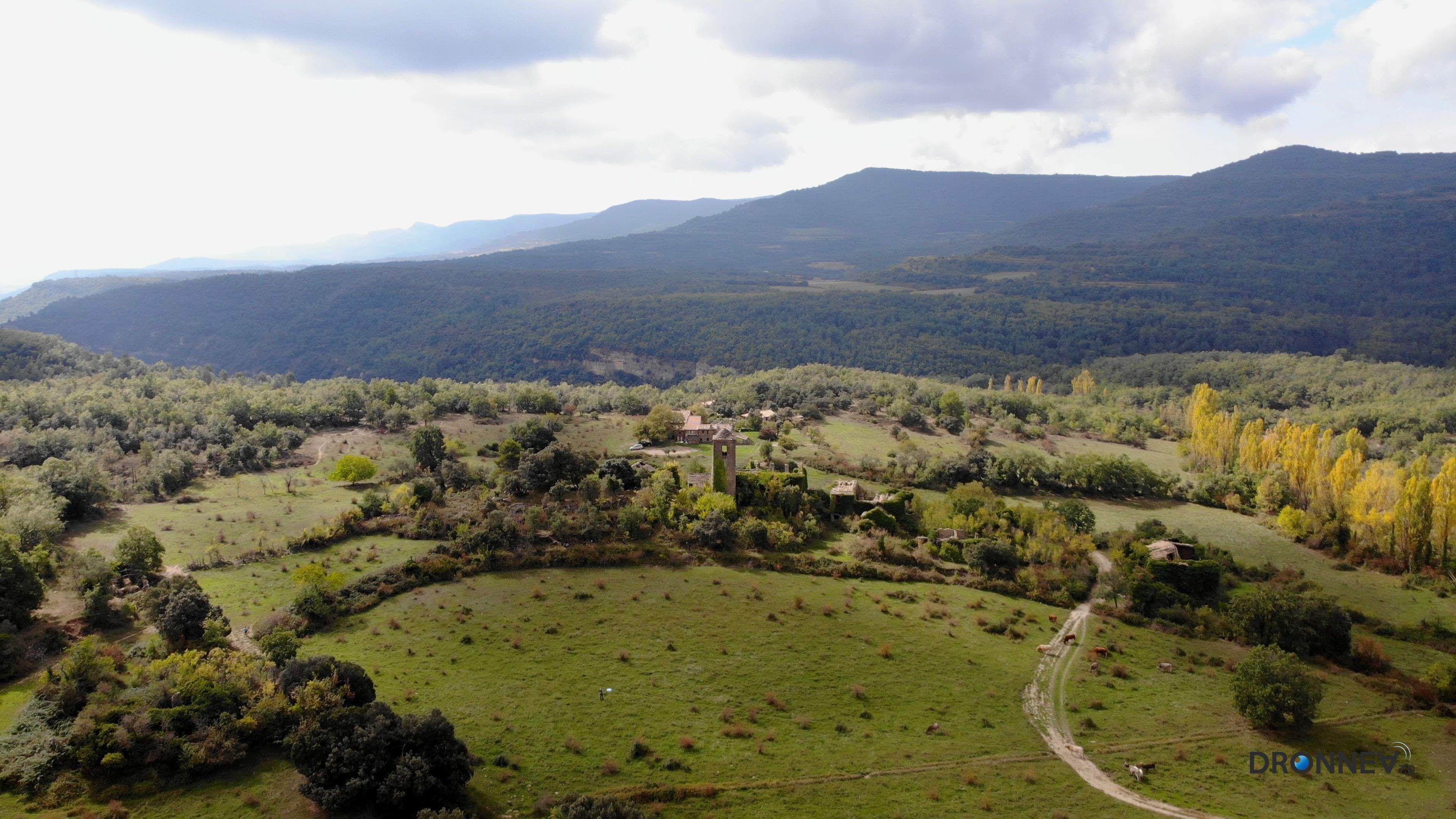 Si aguzamos la vista, vemos vida. Ahí abajo. Somos hormigas en la monumentalidad de la naturaleza.