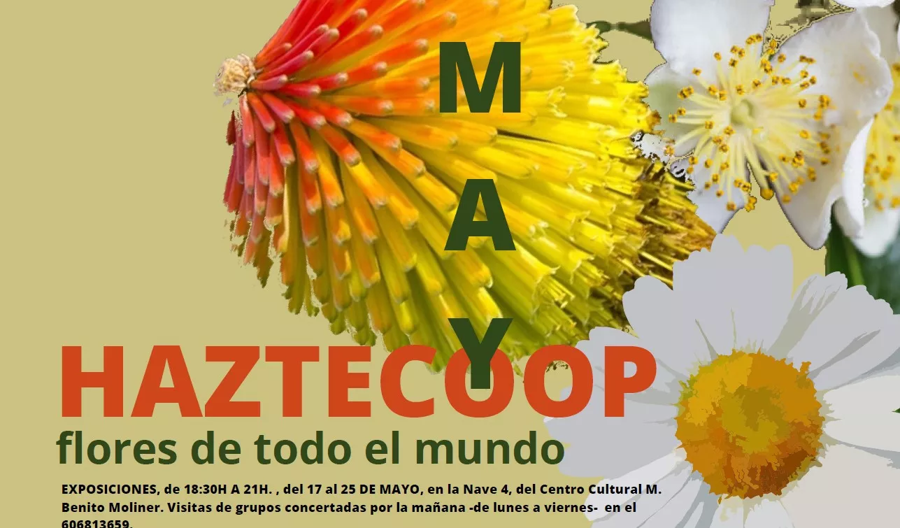 Cartel de Flores de todo el Mundo dentro de Haztecoop del Ayuntamiento de Huesca y las ONG locales