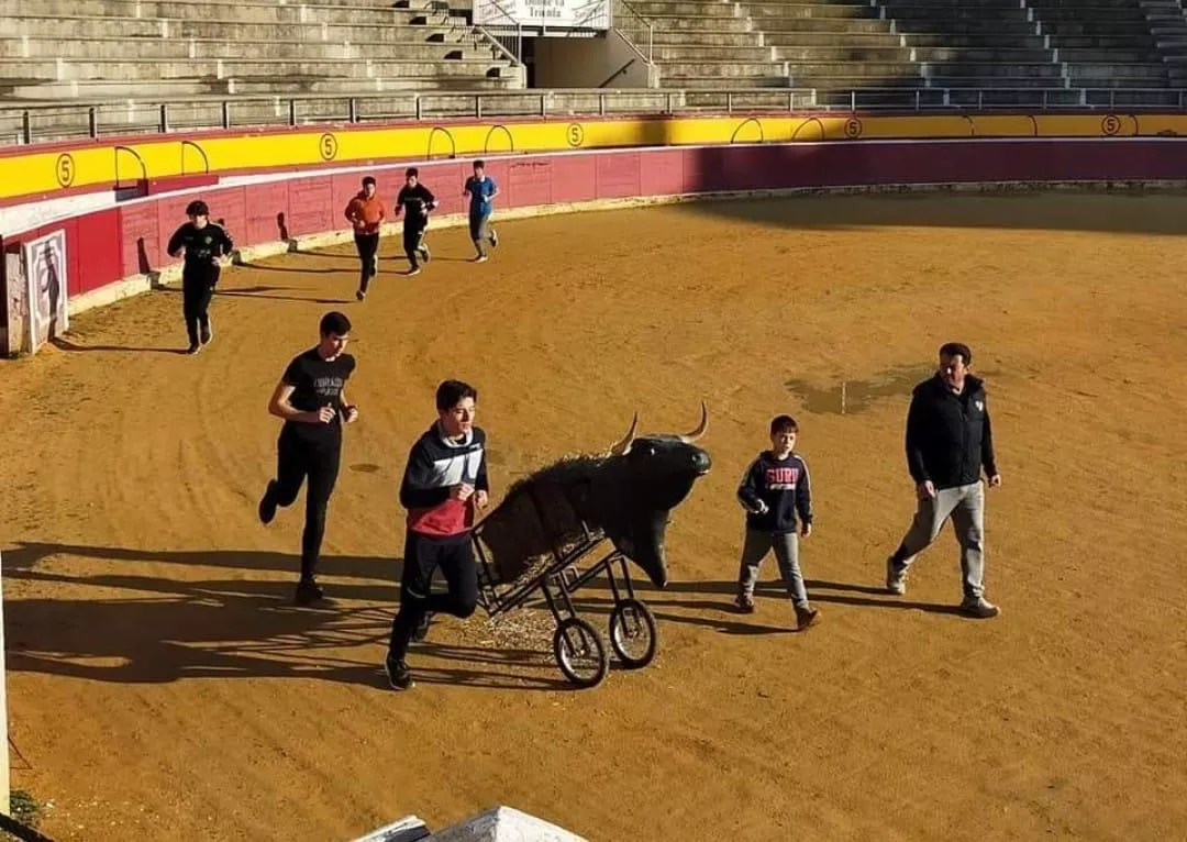 Alumnos de la Escuela Taurina Oscense entrenan en la Plaza de Toros junto a El Molinero. Día Internacional de la Tauromaquia: "La gente joven está volviendo a los toros".
