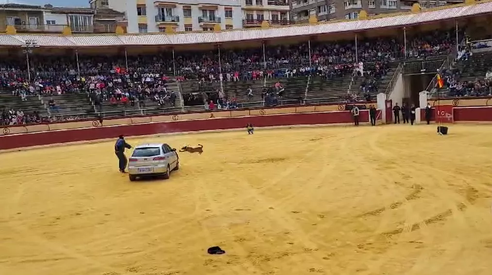 Exhibición de la Policía Local ante escolares de Huesca en la plaza de toros. Foto Mercedes Manterola
