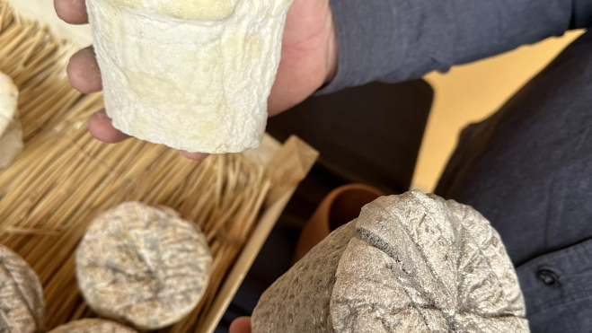 Quesos elaborados por Nacho Robredo para este proyecto. Quesos elaborados por Nacho Robredo para este proyecto.