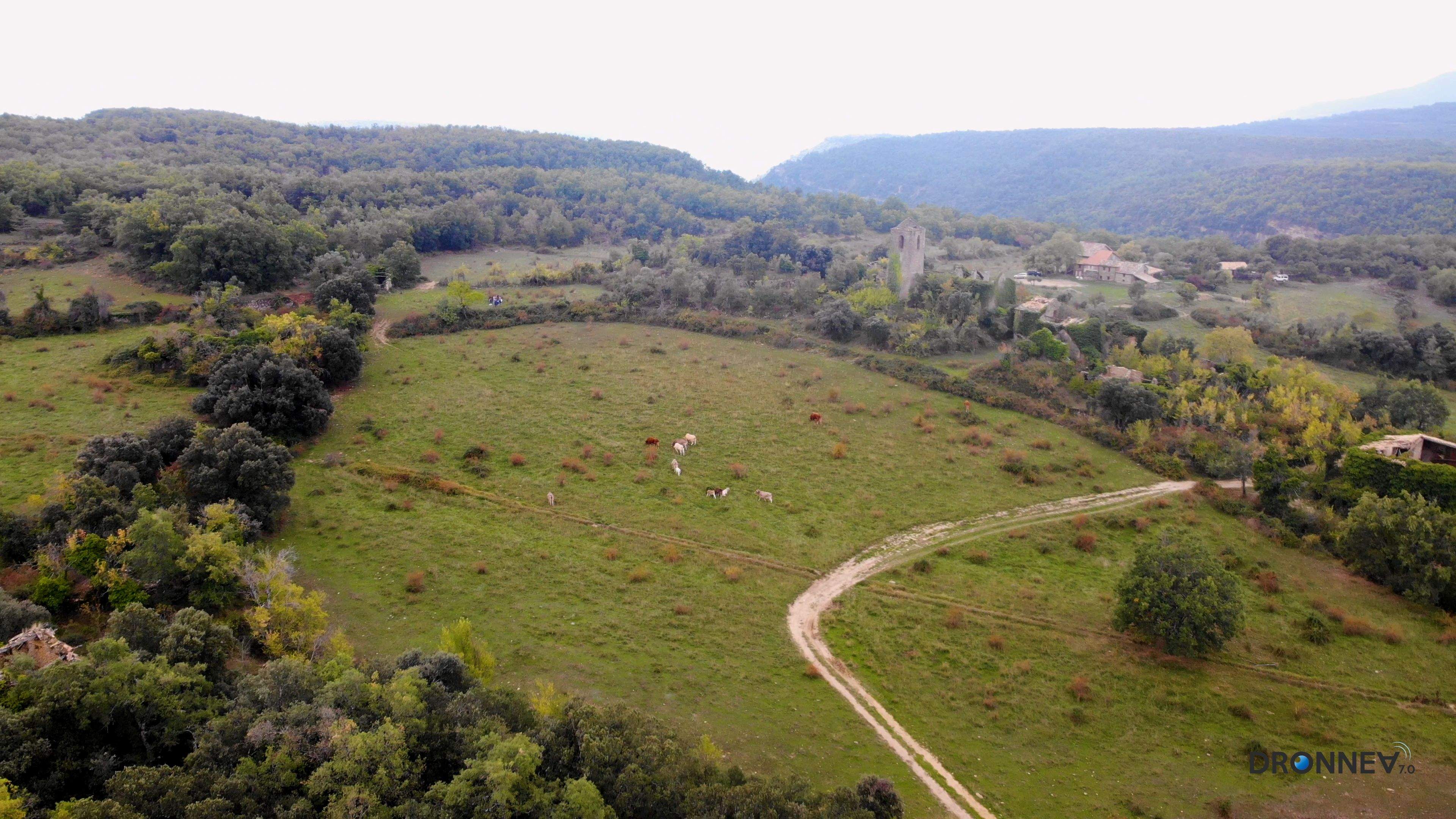 Caminos de ida y vuelta. Nuestras vidas son los ríos que van a parar a la mar, que es el morir. Nuestras vidas son los mares que van a parar al rio, que es el renacimiento.