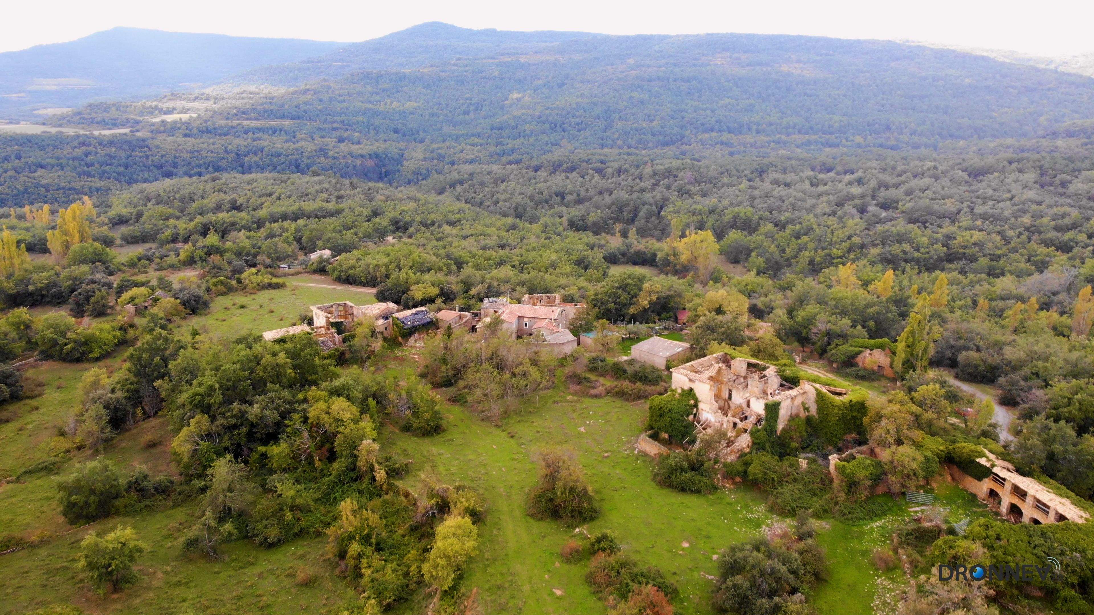 ¿Depauperación vegetativa? No, las fadas y las encantarias que cada noche, en el silencio, roen las techumbres. Cada día están más gordas las brujas. Sin competencia del homo sapiens.