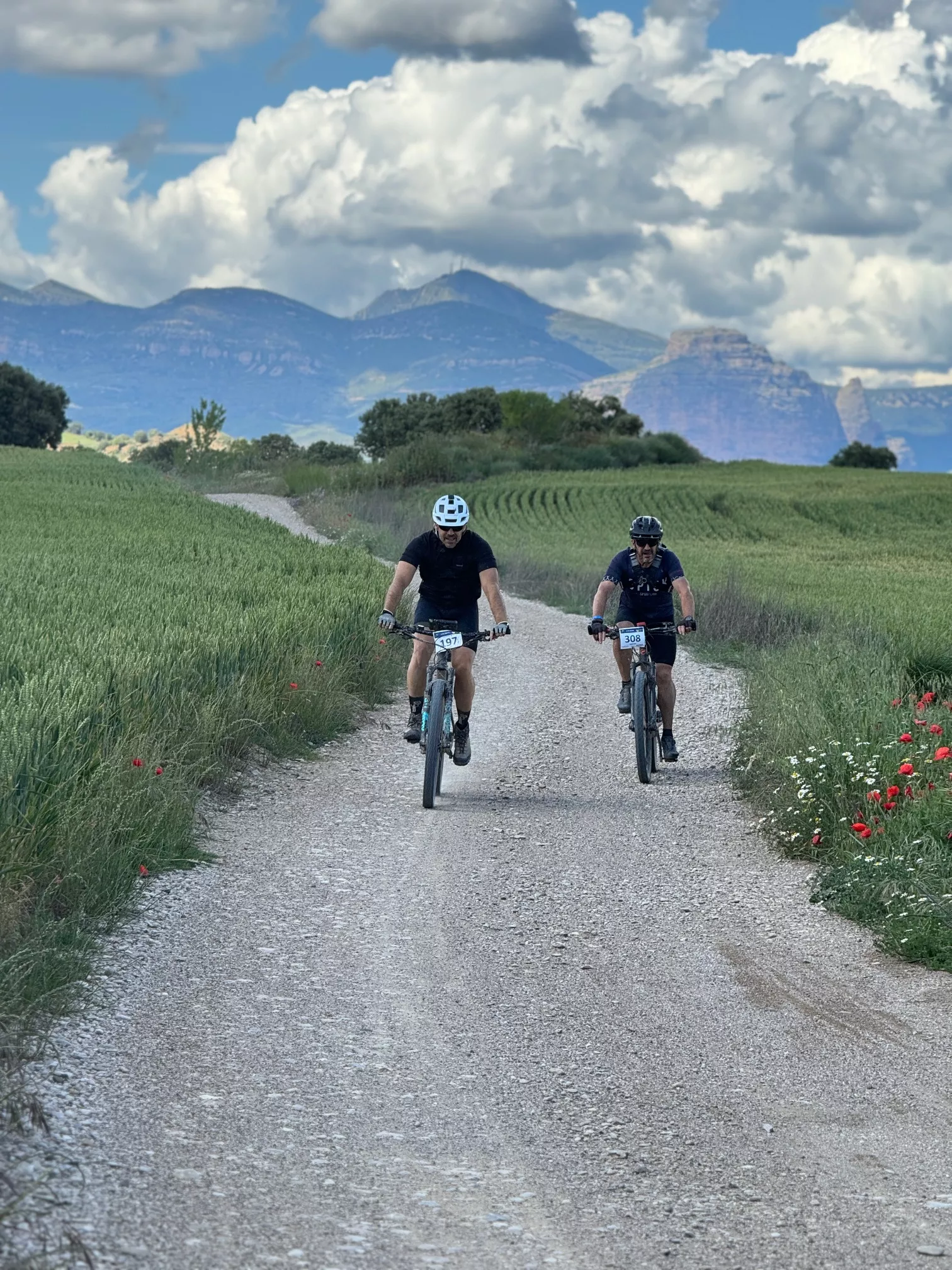 HU 108 BTT. Foto: Aarón Navarro Cortés.