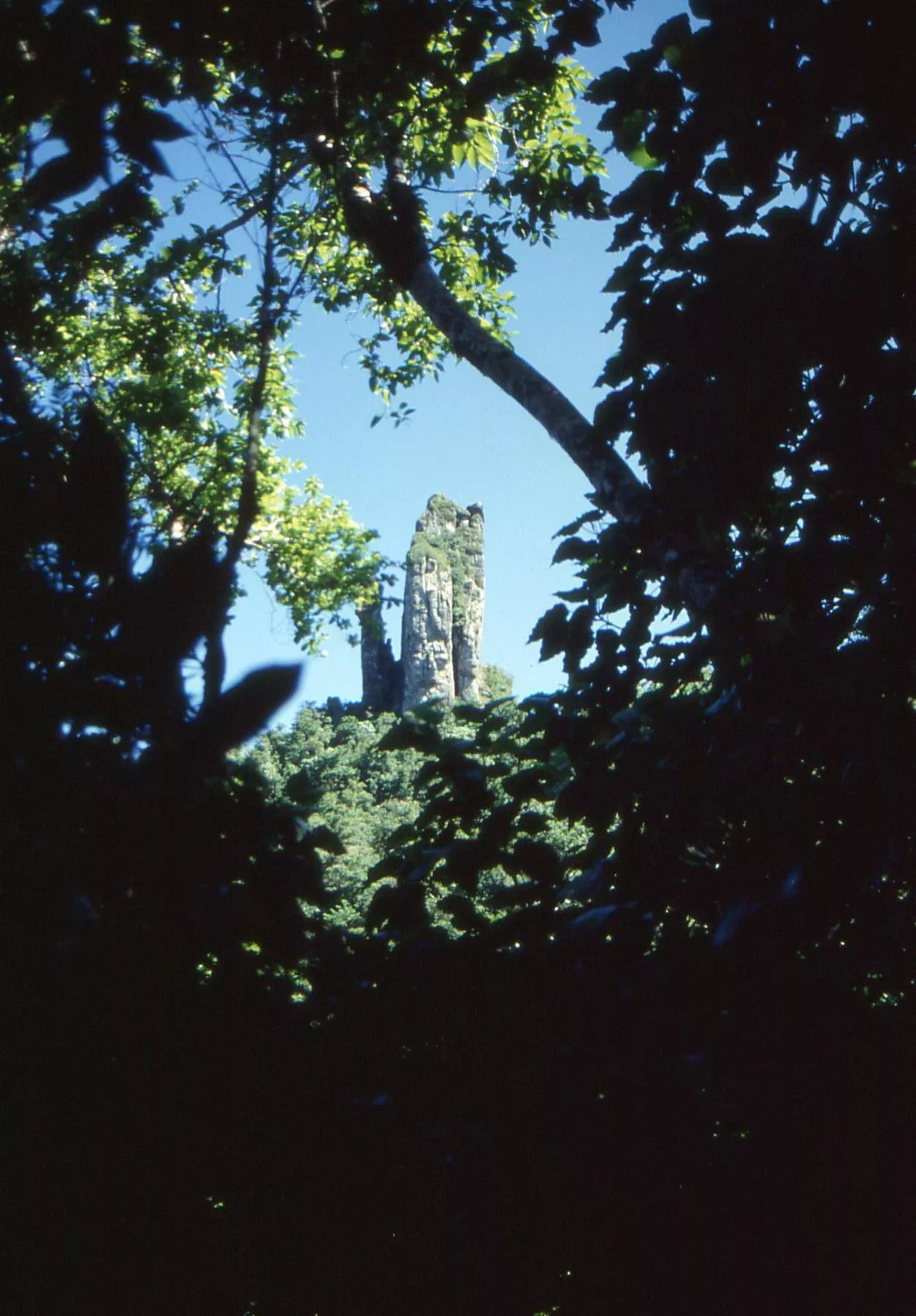Marco Pascual en Rarotonga
