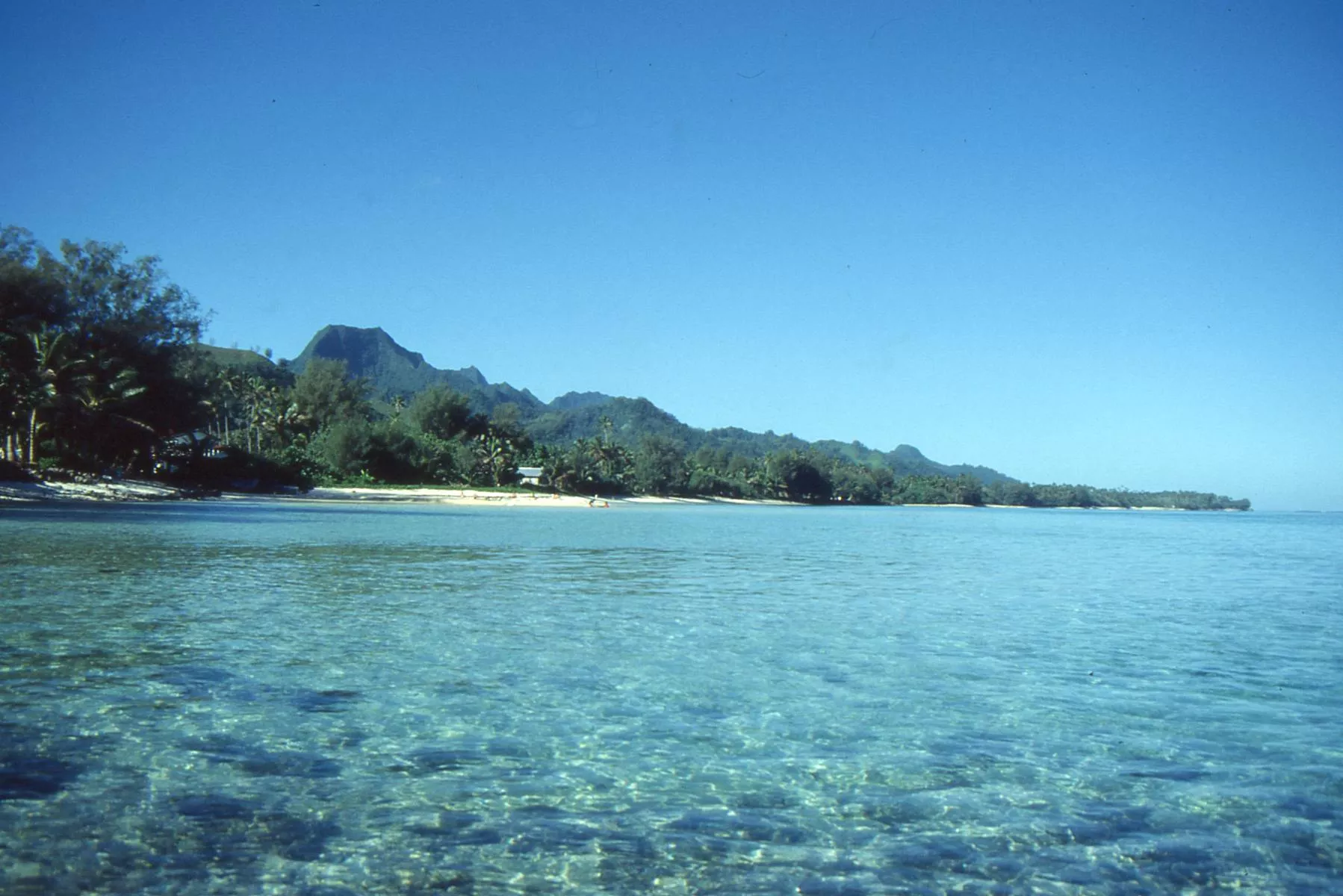 Marco Pascual en Rarotonga