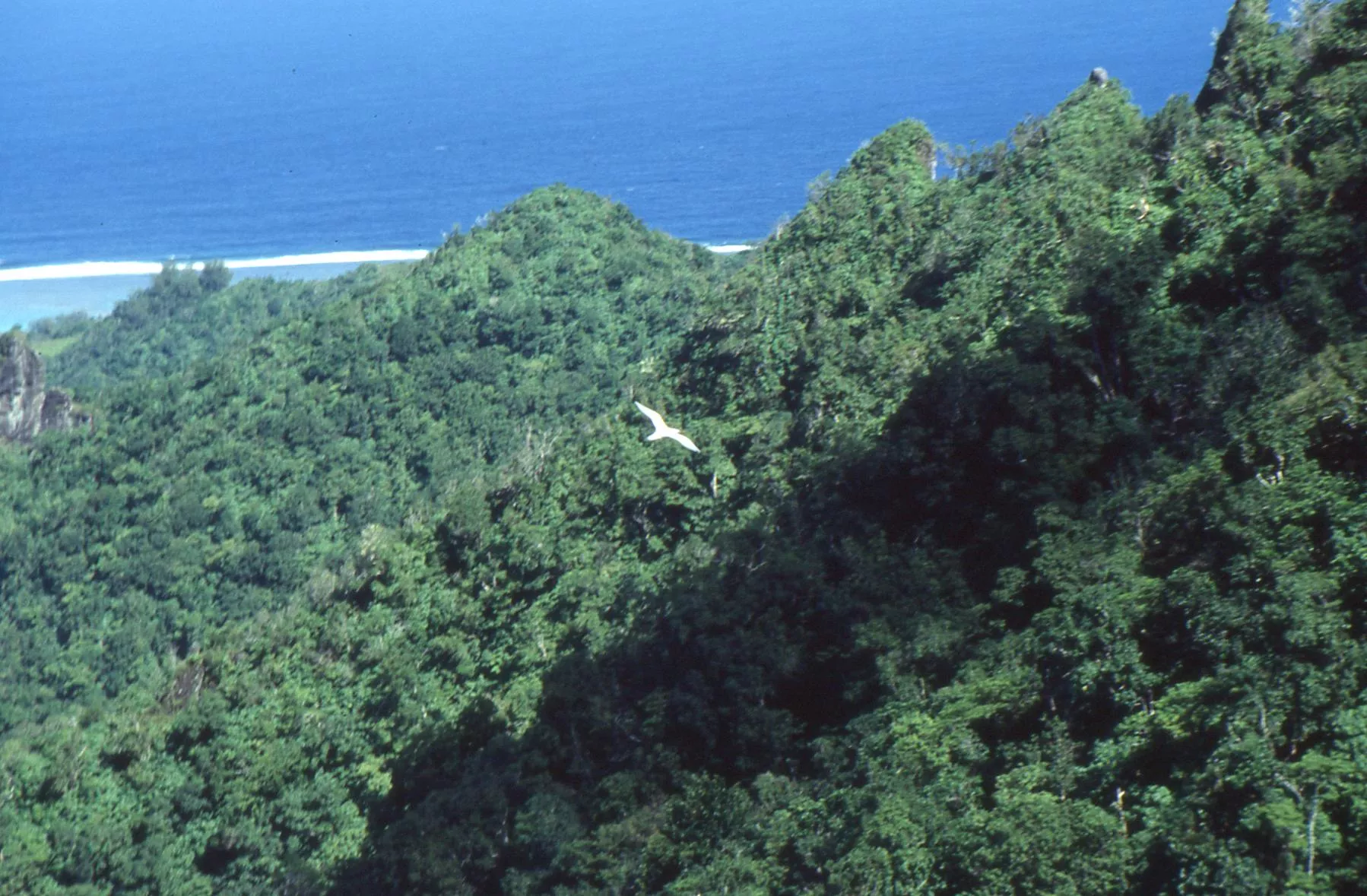Marco Pascual en Rarotonga