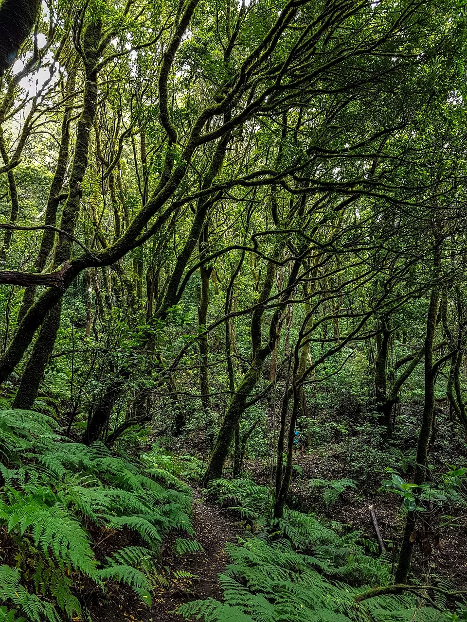 Marco Pascual en Rarotonga