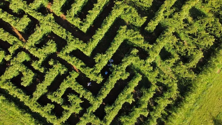 Imágenes de la Pyrene Raid del Valle de Tena