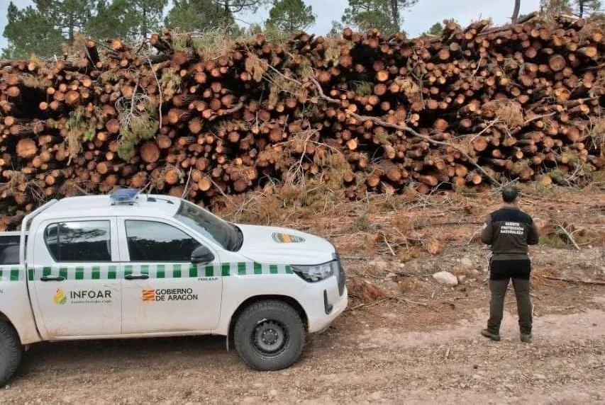 Un agente de protección de la naturaleza de Aragón. Foto APN Un agente de protección de la naturaleza de Aragón. Foto APN