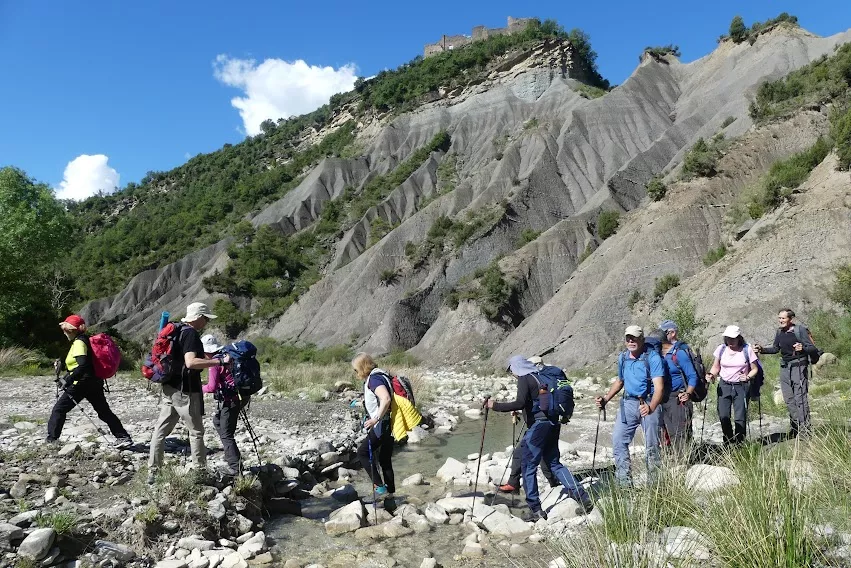 Primavera rondadora. Foto: Charles Castellazzo
