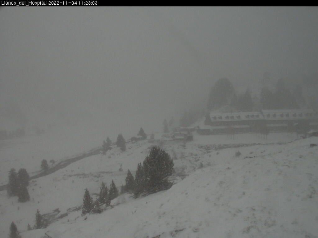 Llanos del Hospital