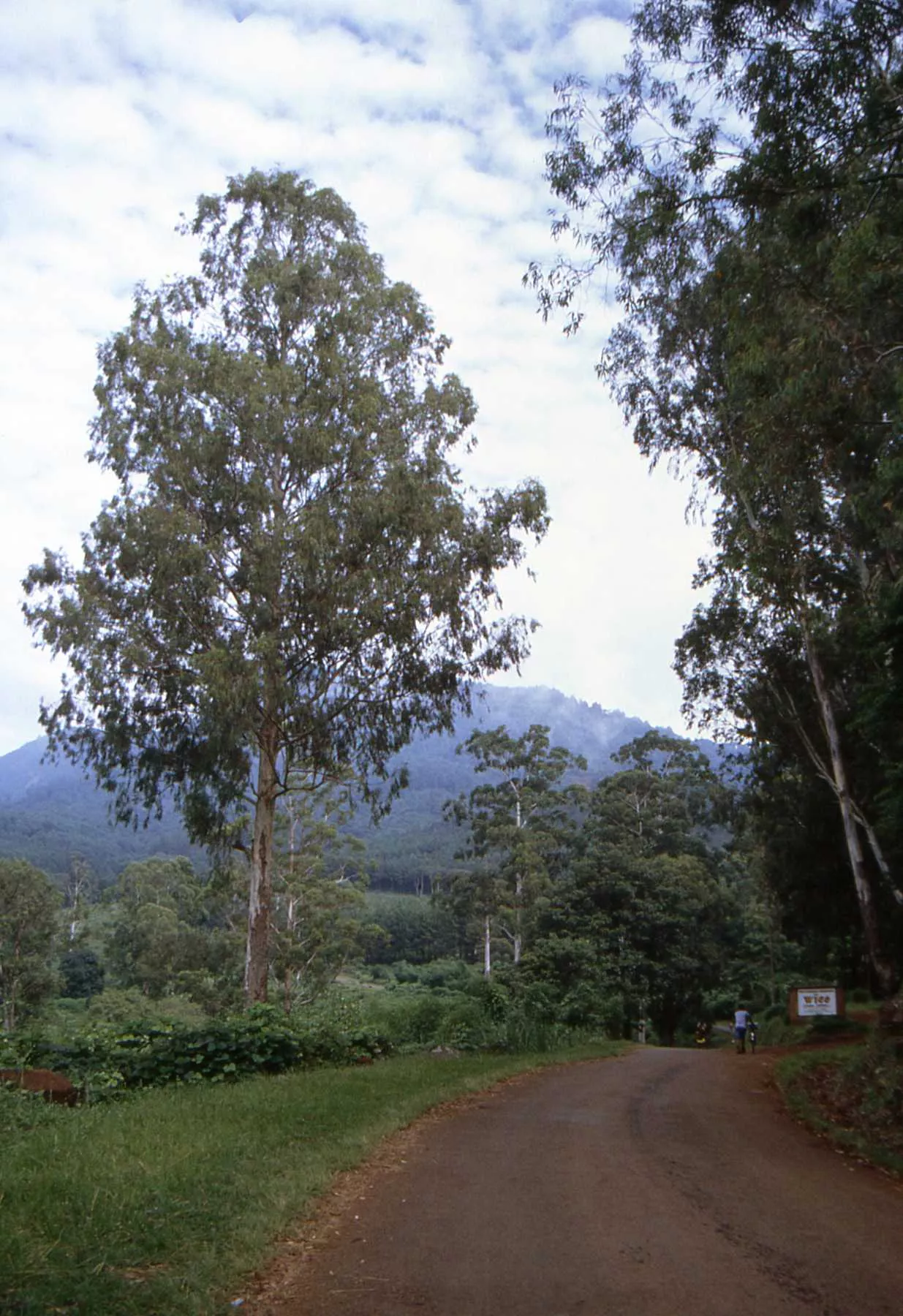 Marco Pascual en Ruanda