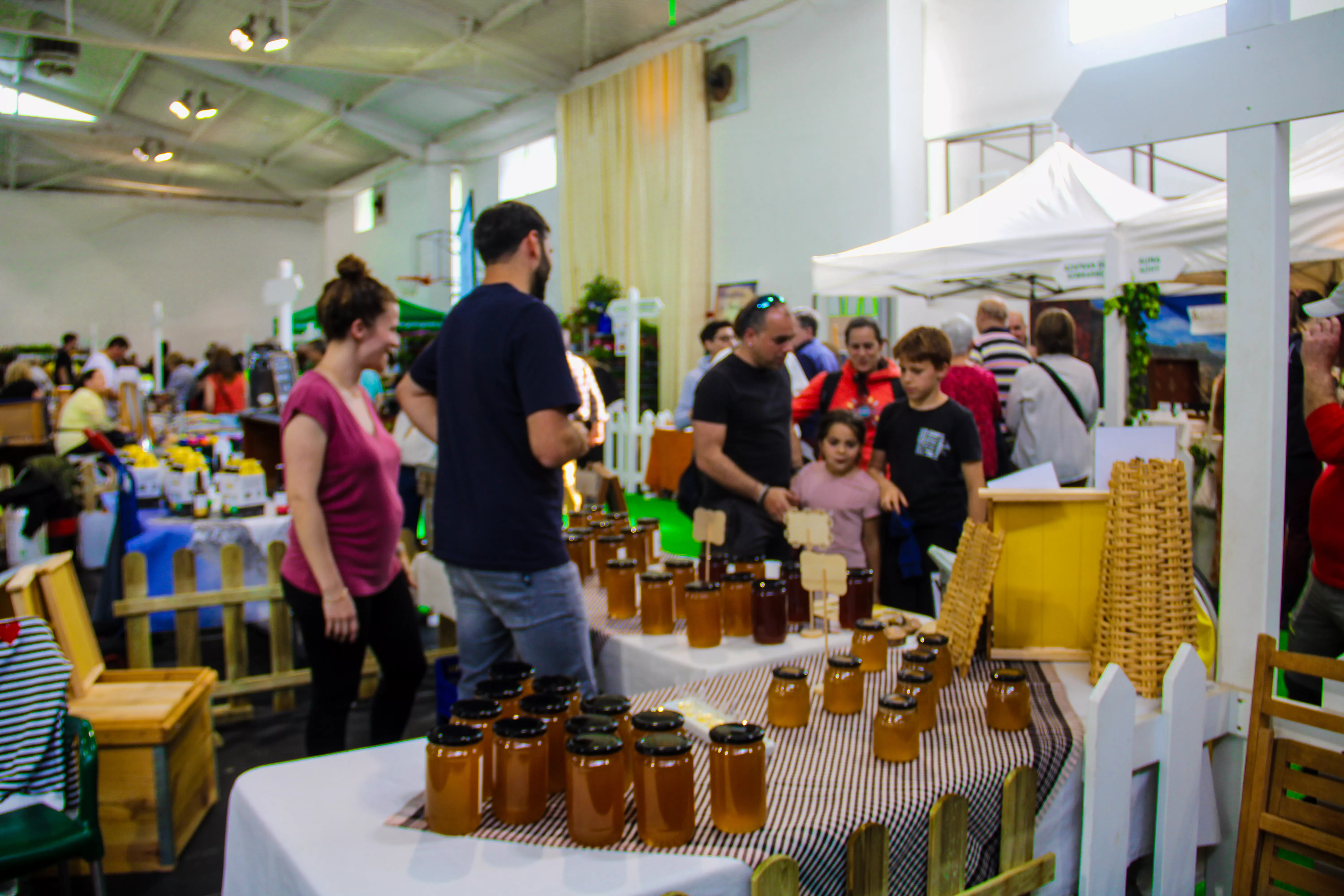 Público en la Feria de la Primavera de Biescas. Foto J. Molino Guisado