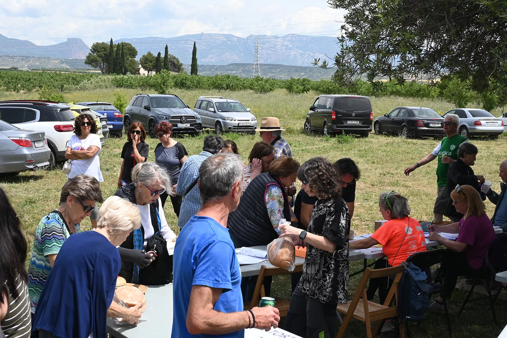 Romería a la Ermita de Jara. Foto Carlos Jalle