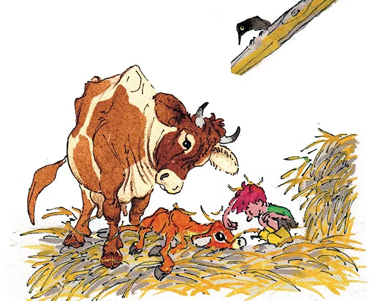 Una de las ilustraciones de la novela infantil "La Vaca Mandarina", de Sandra Araguás. Una de las ilustraciones de la novela infantil "La Vaca Mandarina", de Sandra Araguás.