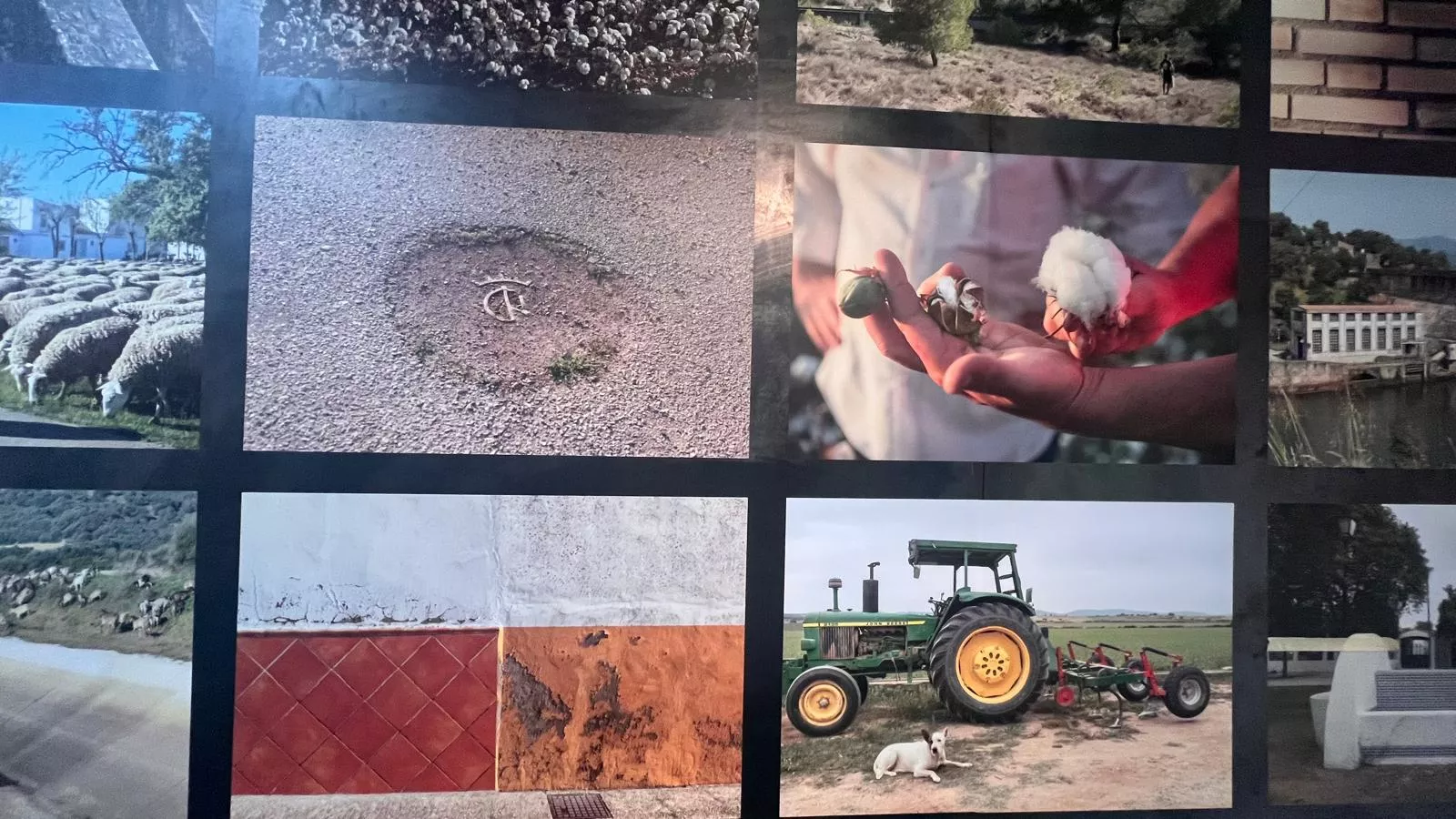 Exposición "Pueblos de colonización. Miradas a un paisaje inventado" en la DPH. Foto Mercedes Manterola