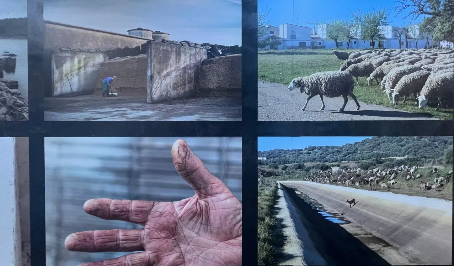 Exposición "Pueblos de colonización. Miradas a un paisaje inventado" en la DPH. Foto Mercedes Manterola