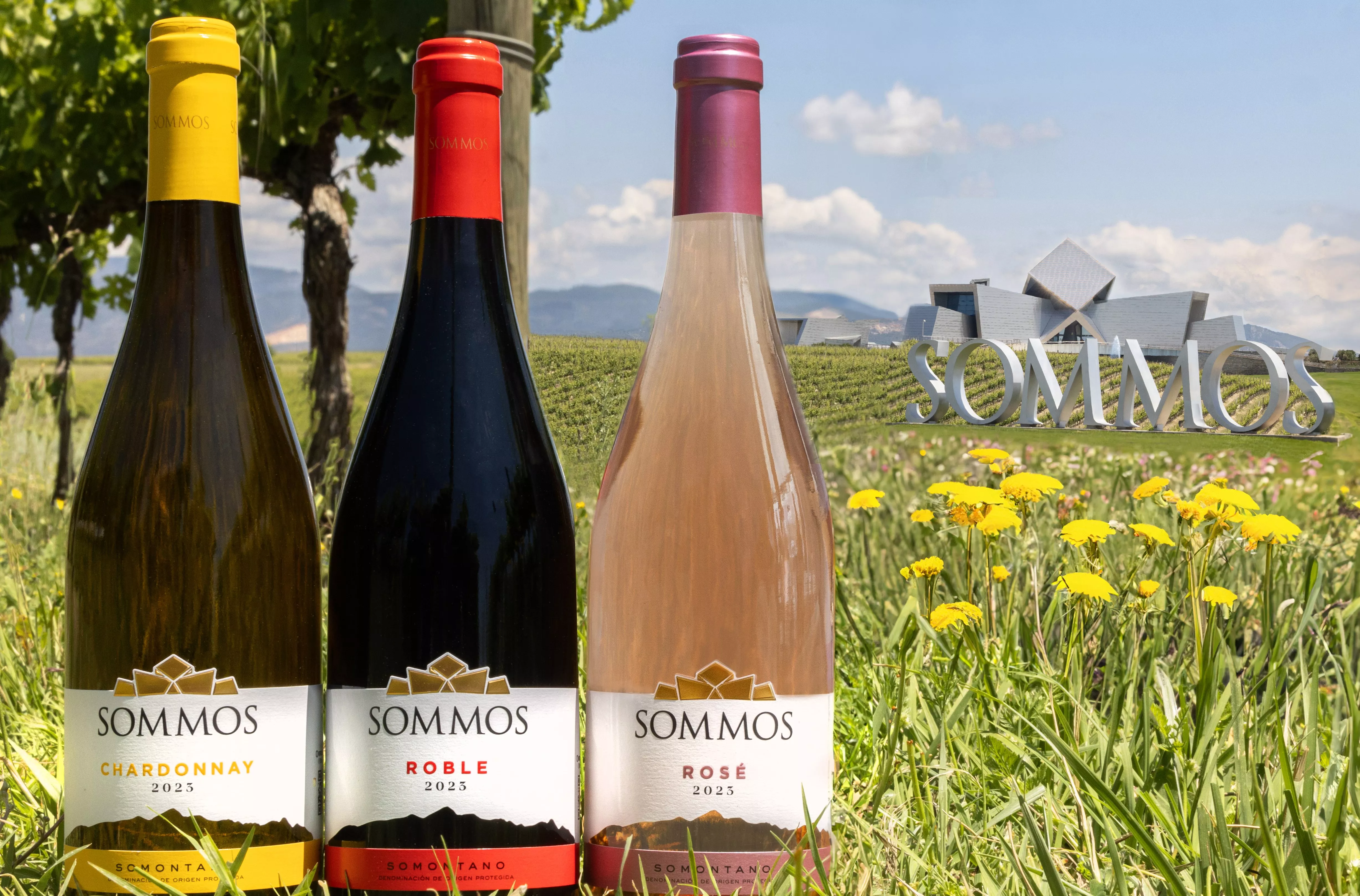 Los tres más frescos de Sommos con la bodega al fondo