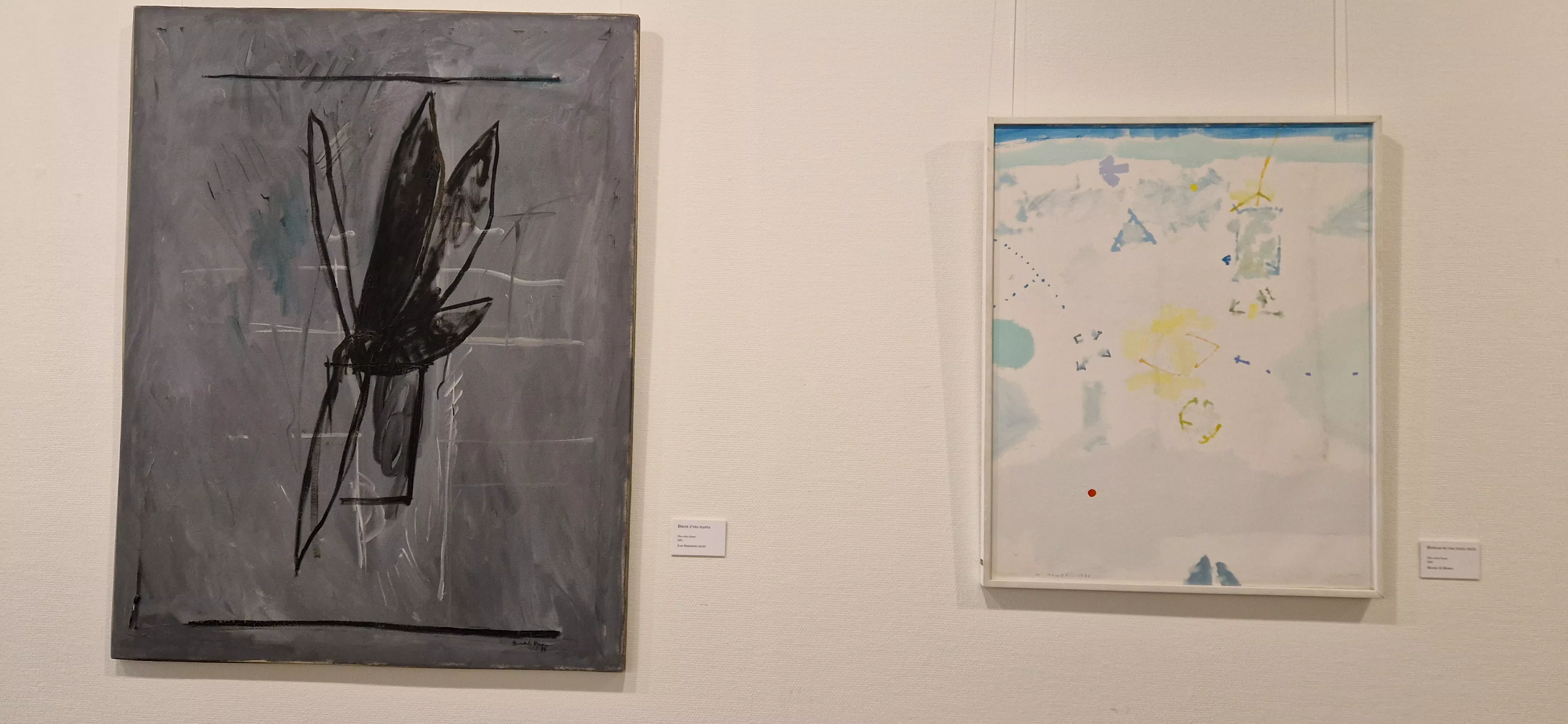 Colección CAI en el Museo Diocesano de Barbastro. Foto Myriam Martínez 