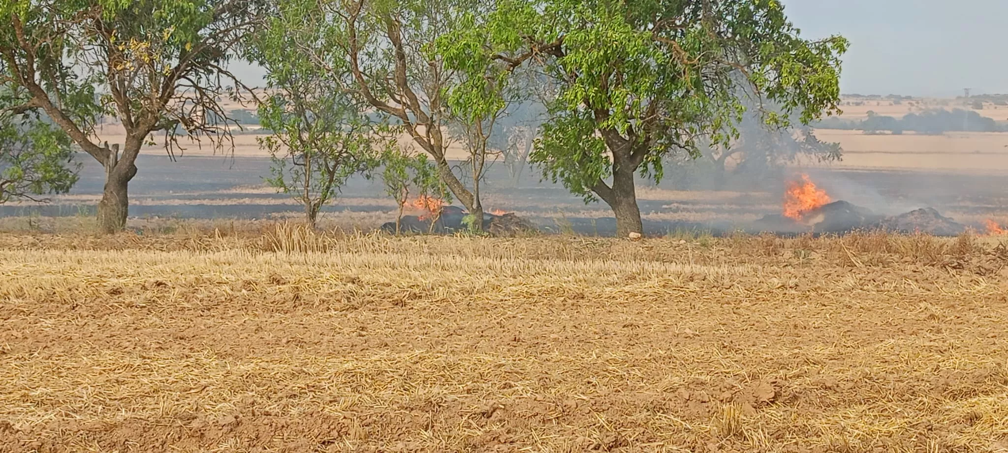 Incendio durante la cosecha en Peralta de Alcofea.