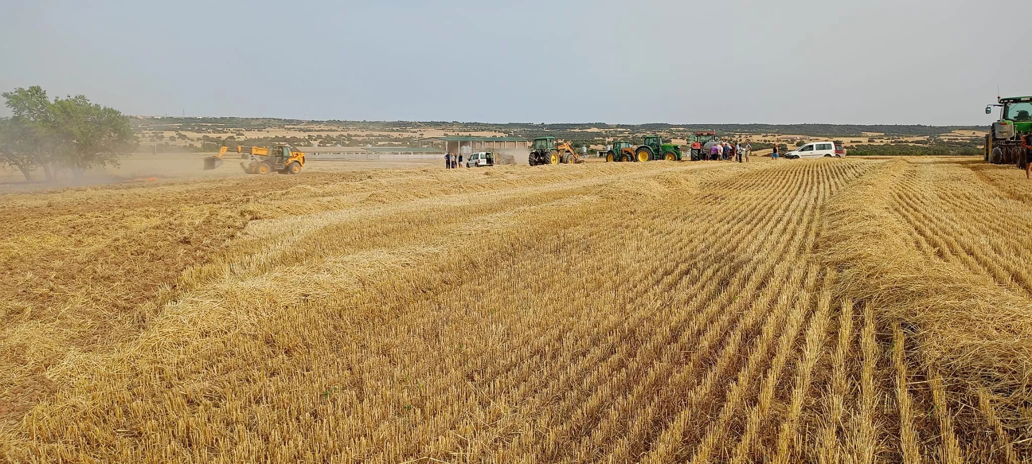 Incendio durante la cosecha en Peralta de Alcofea.
