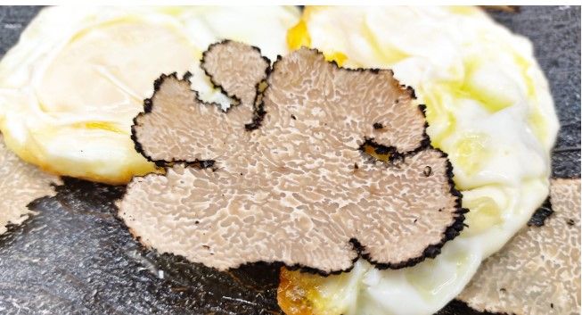 Trufa, uno de los grandes valores propios de la cocina, la producción y la gastronomía de la provincia de Huesca llevado al recetario singular desde la raíz. Trufa, uno de los grandes valores propios de la cocina, la producción y la gastronomía de la provincia de Huesca llevado al recetario singular desde la raíz.