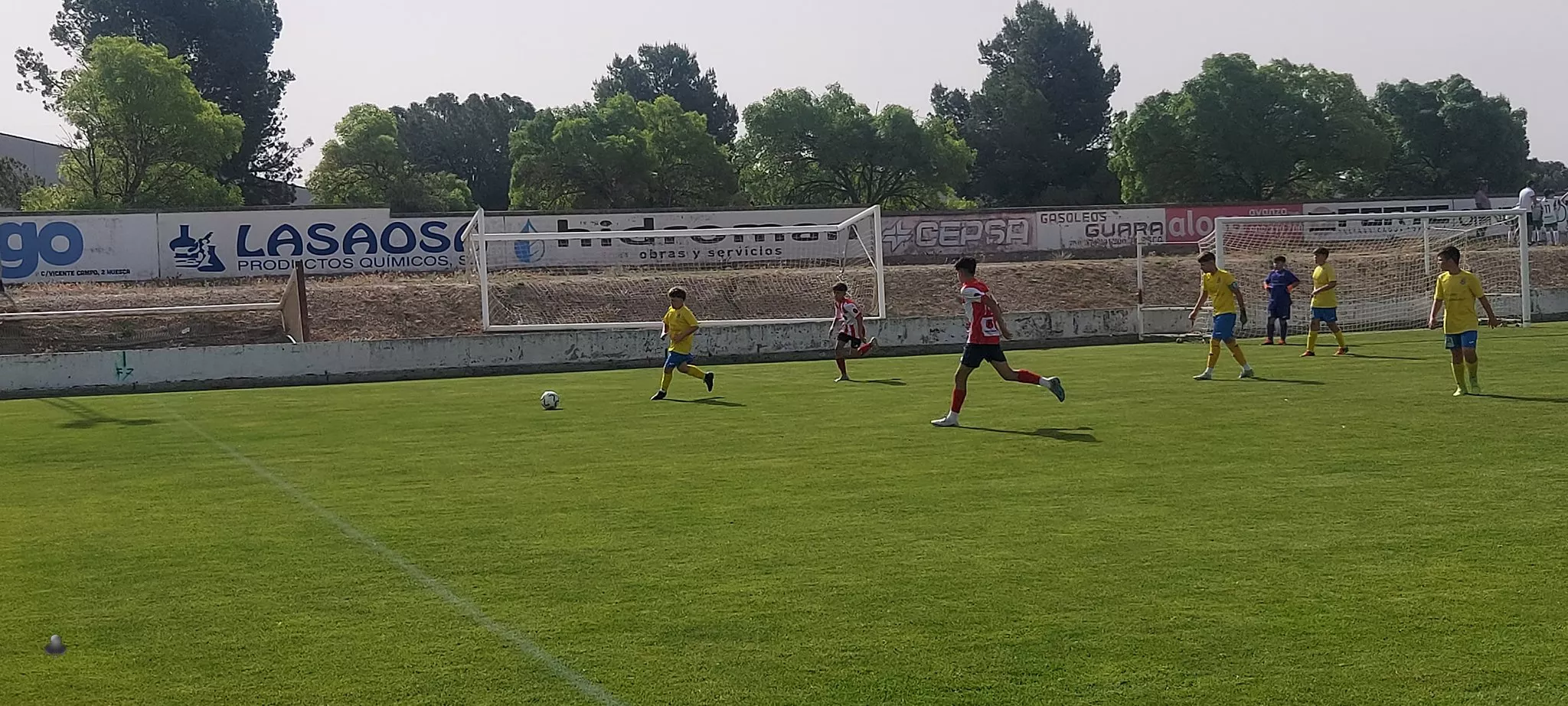 XXII Día del Deporte Base en Almudévar