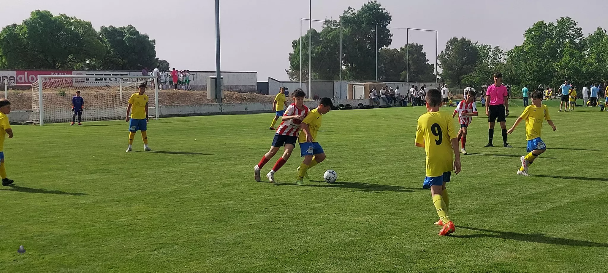 XXII Día del Deporte Base en Almudévar