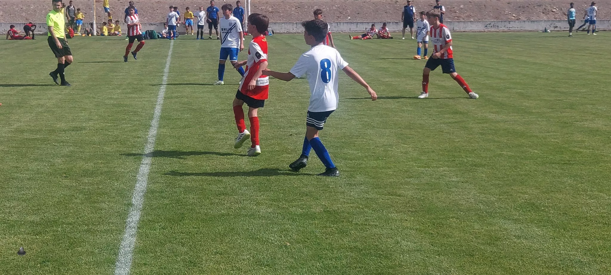 XXII Día del Deporte Base en Almudévar