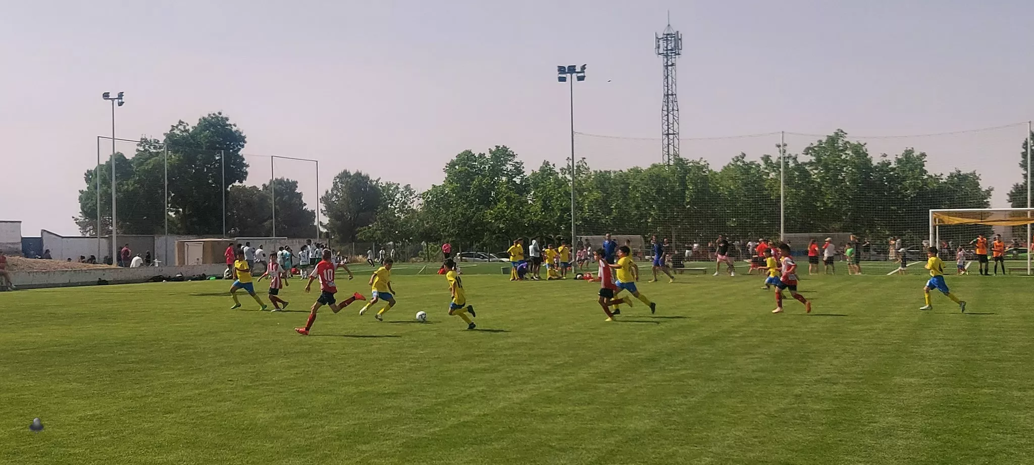 XXII Día del Deporte Base en Almudévar