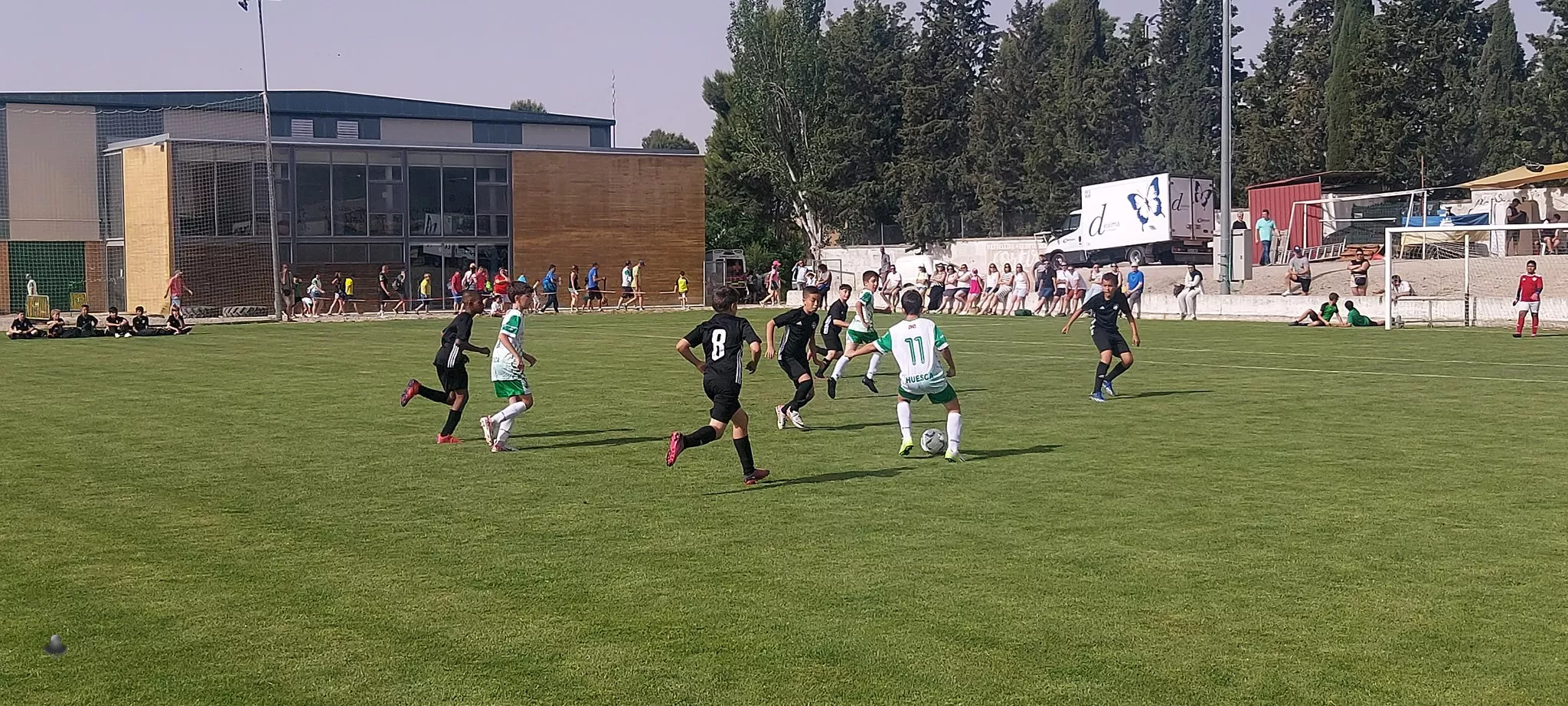 XXII Día del Deporte Base en Almudévar