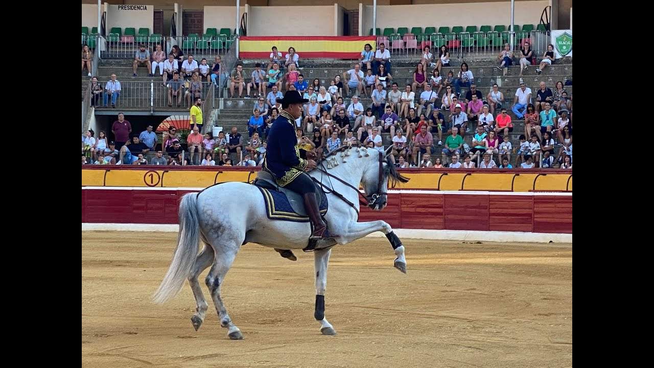 Espectáculo Ecuestre por Araela.