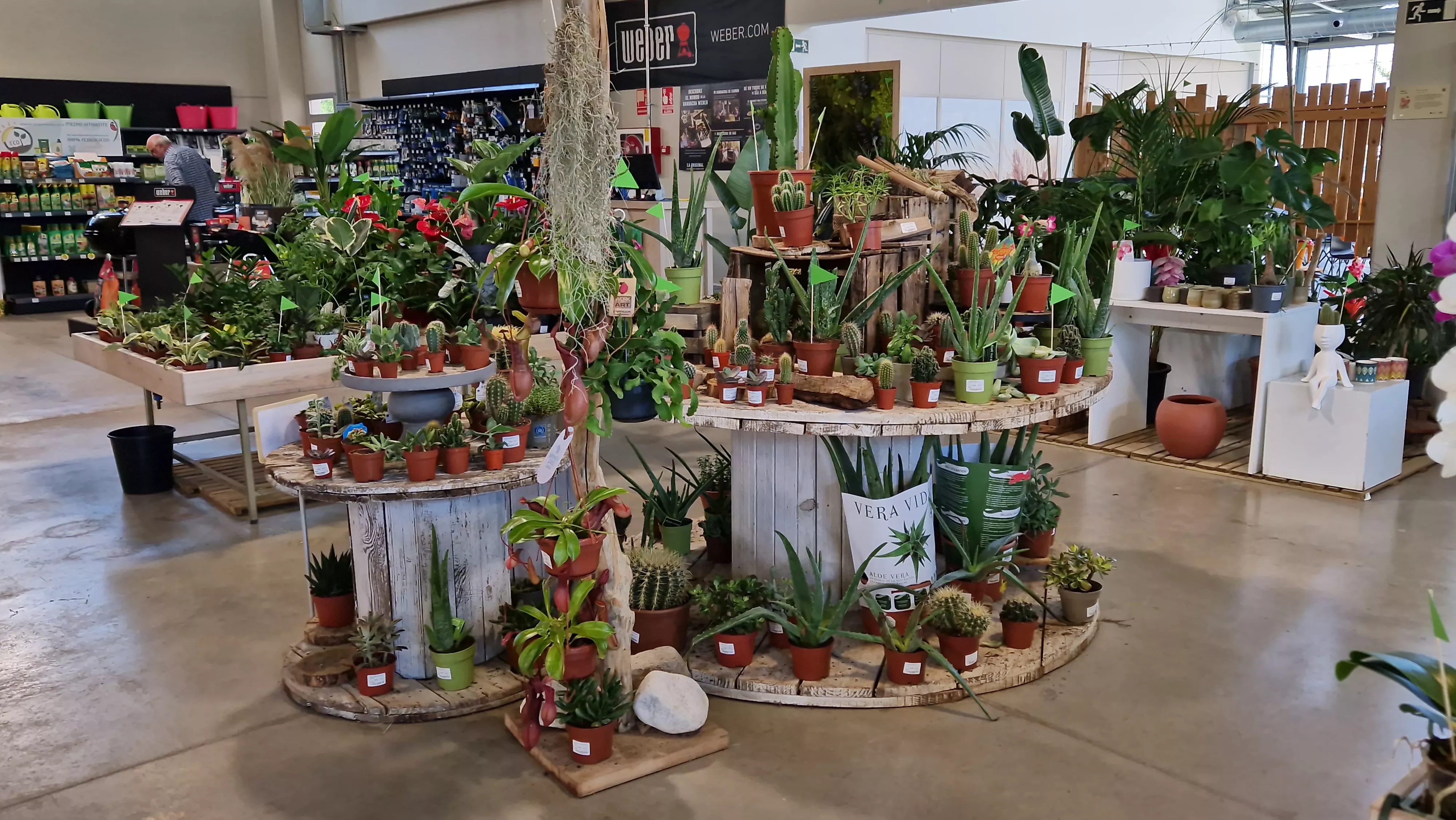 Brotalia celebra su décimo aniversario. Foto Myriam Martínez 