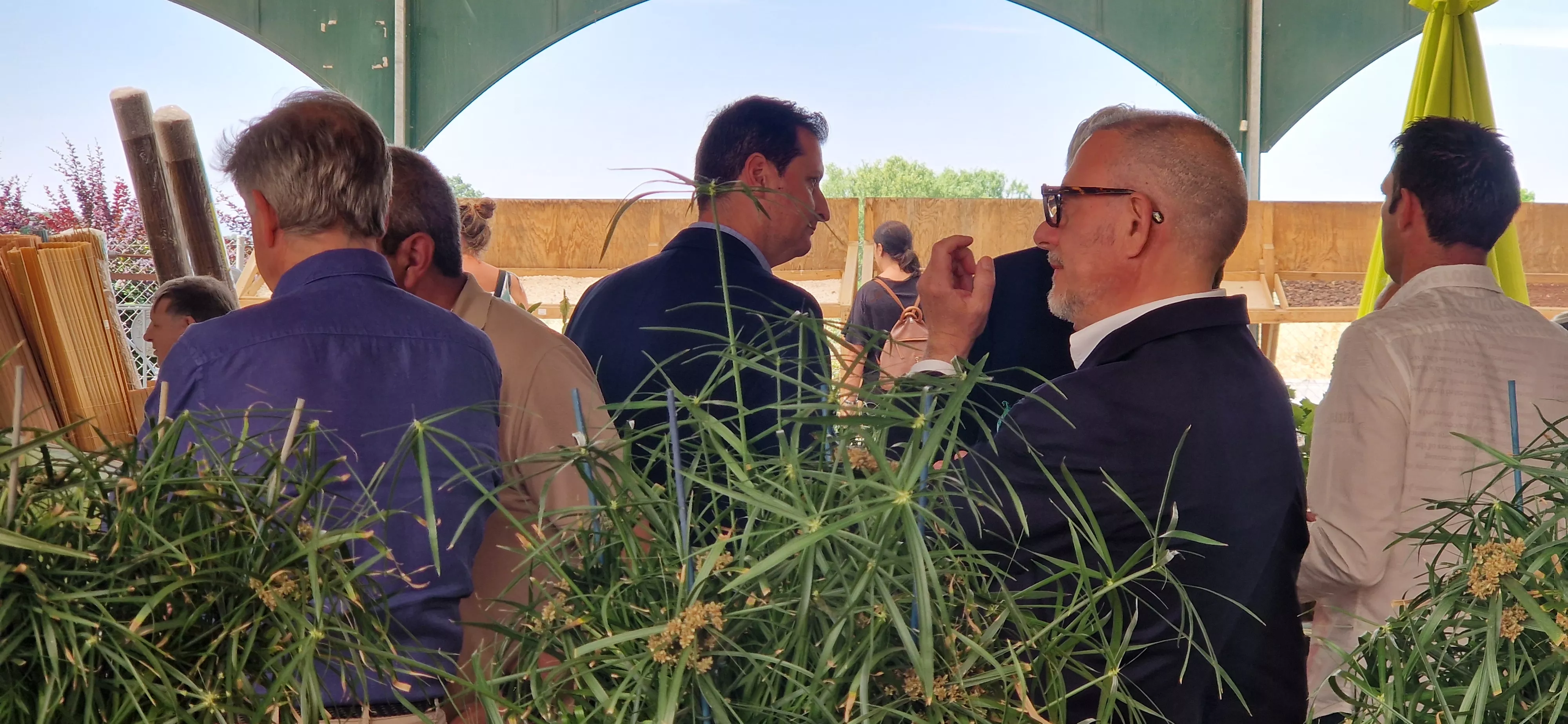 Brotalia celebra su décimo aniversario. Foto Myriam Martínez 