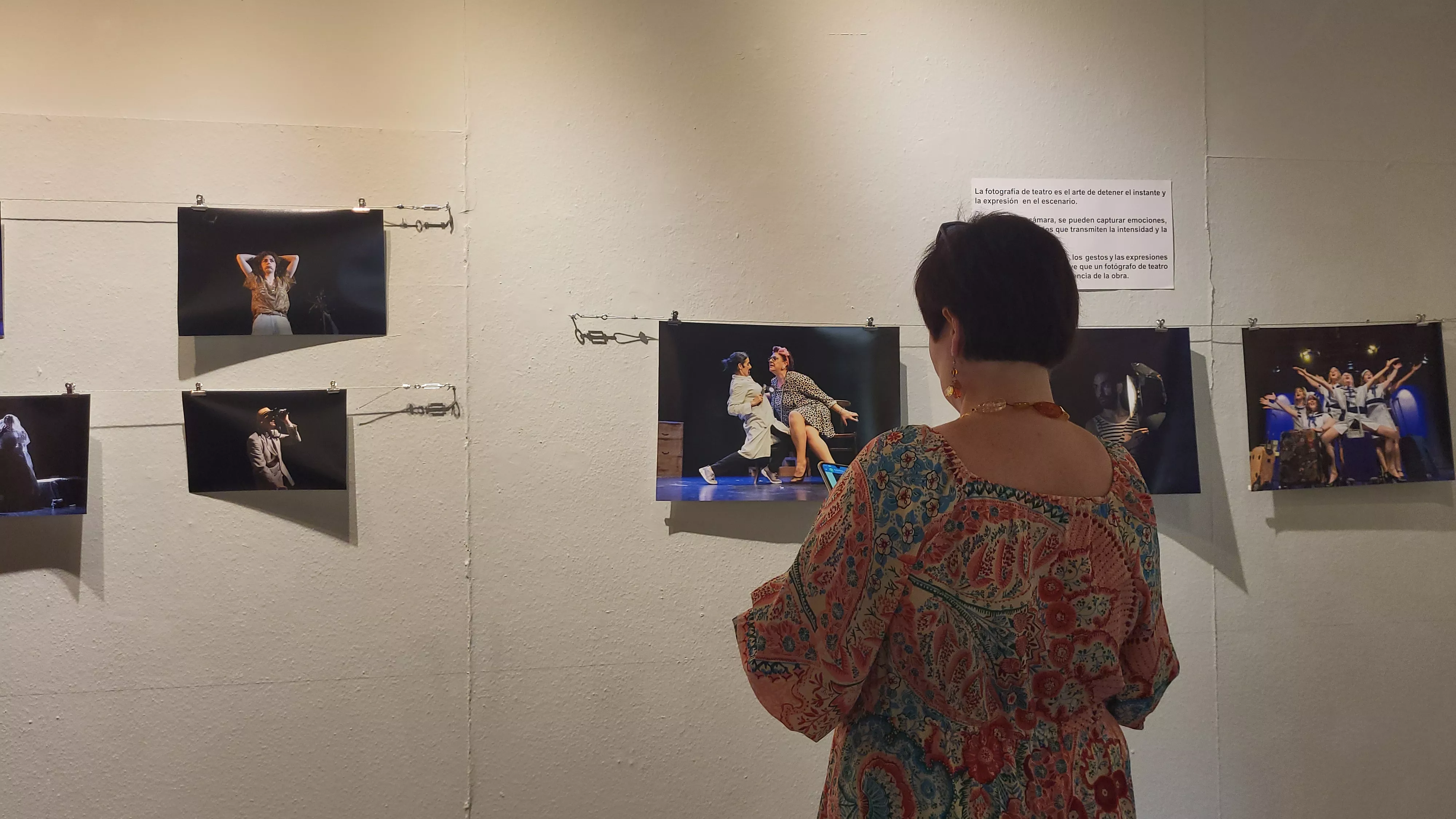 Exposición de La López "Arriba el telón" en el Centro Manuel Benito Moliner. Foto Mercedes Manterola