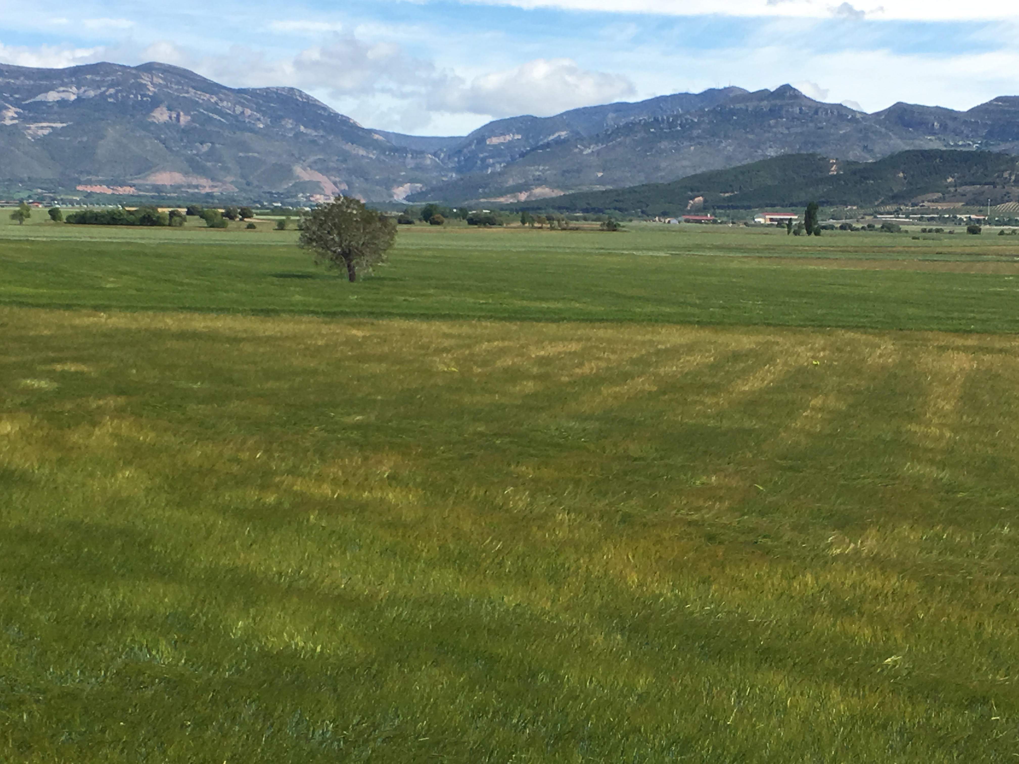 La DGA analiza los datos del modelo familiar agrario.