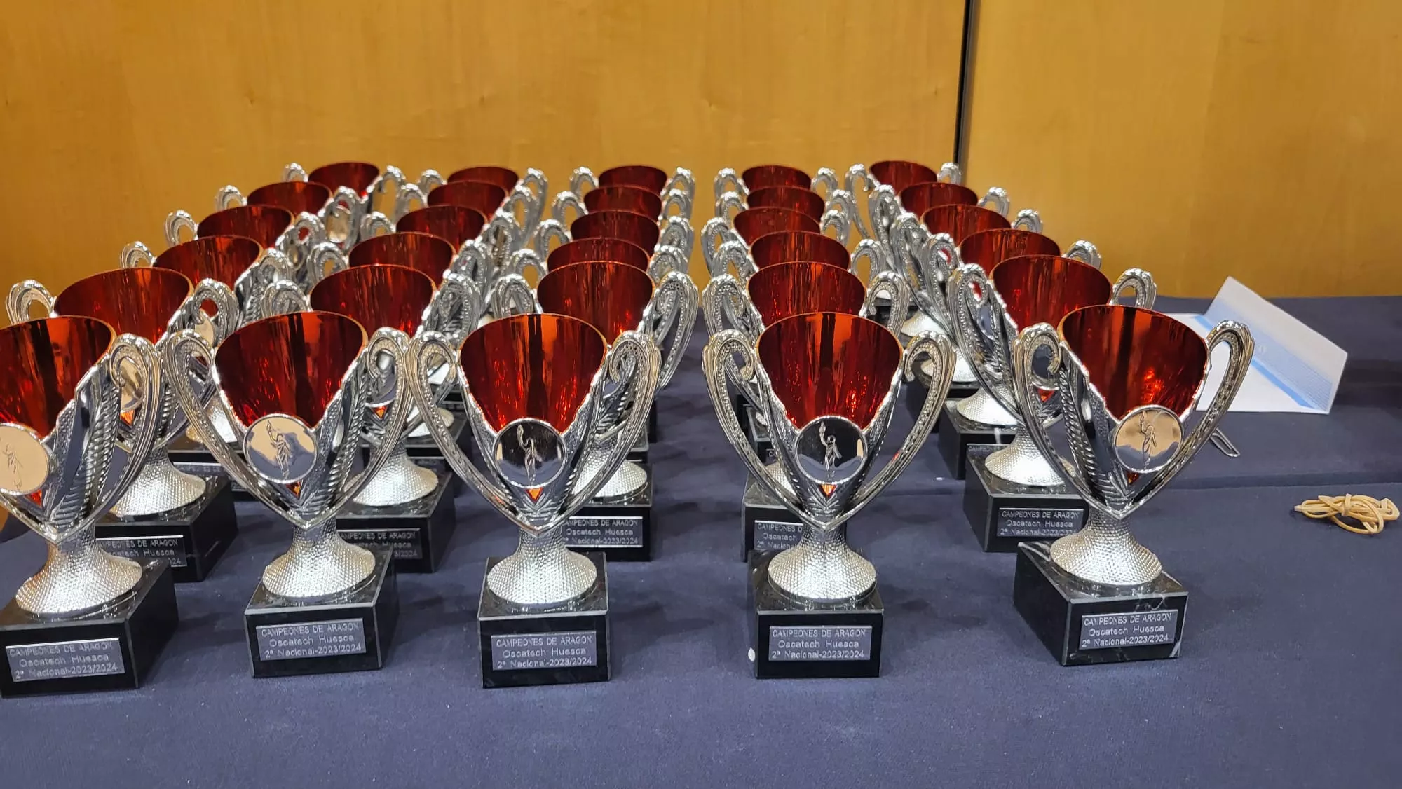 Fiesta de fin de temporada de Balonmano Huesca