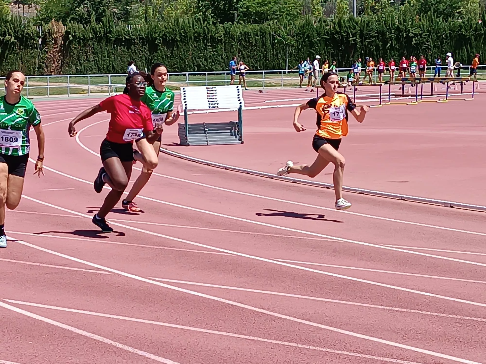 Campeonato Aragón Sub-14