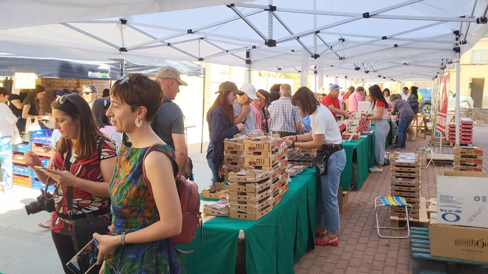 Feria de la Cereza de Bolea